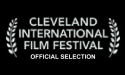 Coming Through The Rye Movie Cleveland Film Festival